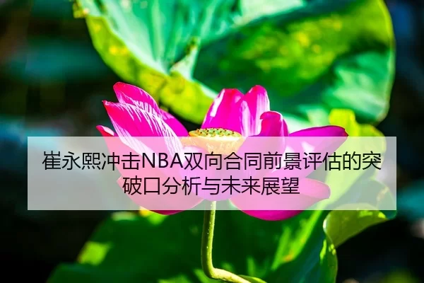 崔永熙冲击NBA双向合同前景评估的突破口分析与未来展望
