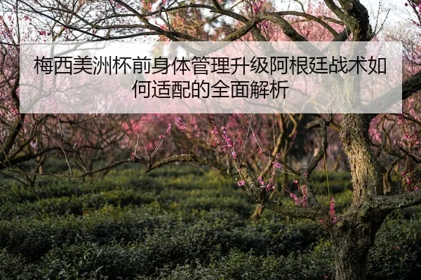 梅西美洲杯前身体管理升级阿根廷战术如何适配的全面解析