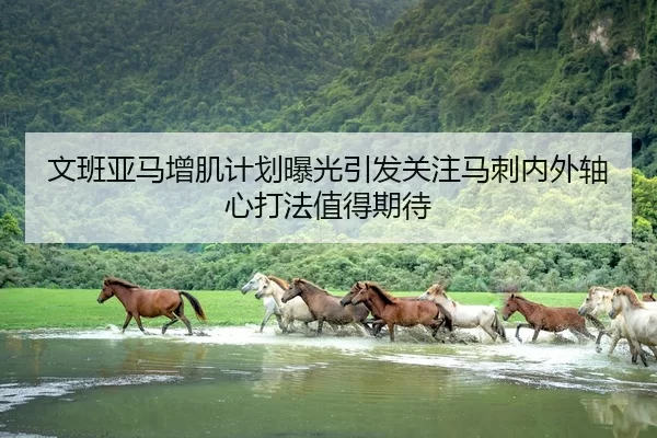 文班亚马增肌计划曝光引发关注马刺内外轴心打法值得期待
