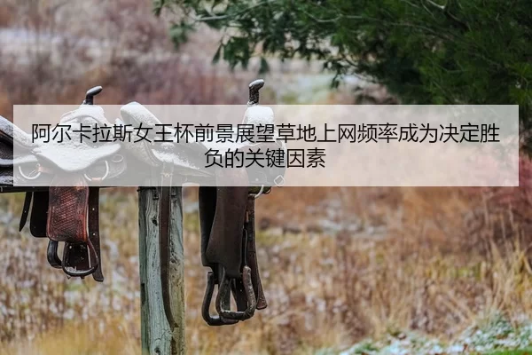 阿尔卡拉斯女王杯前景展望草地上网频率成为决定胜负的关键因素