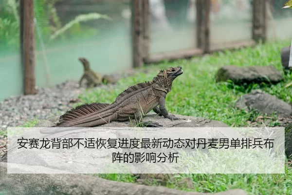 安赛龙背部不适恢复进度最新动态对丹麦男单排兵布阵的影响分析