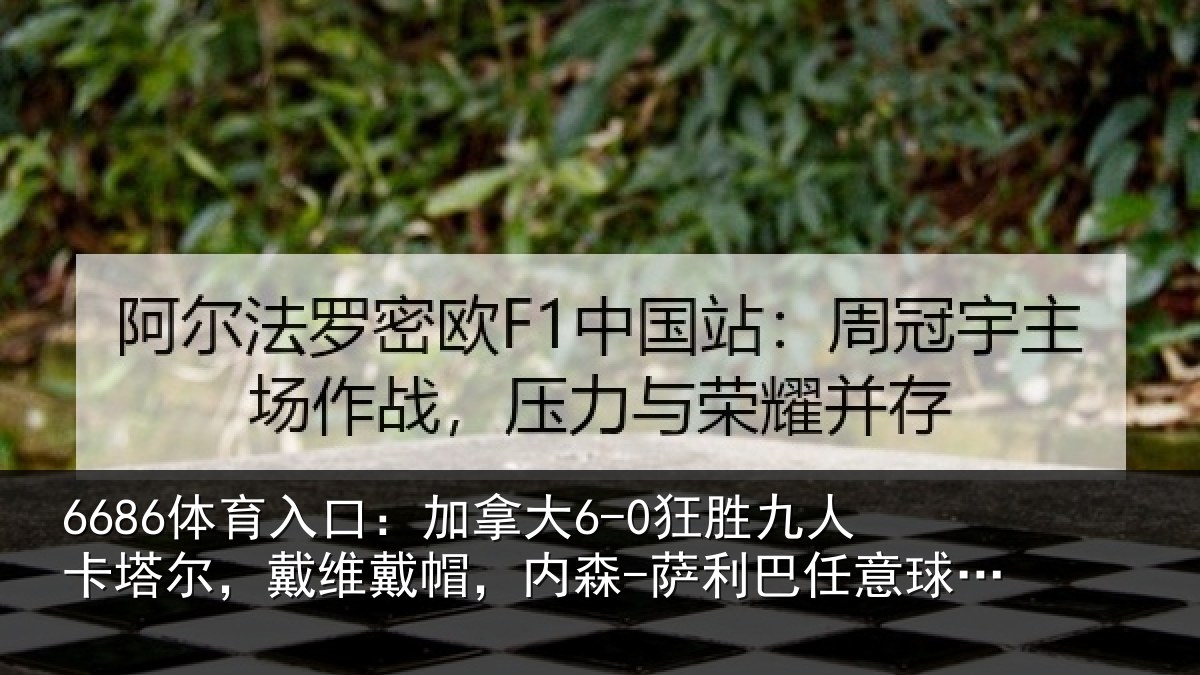 6686体育入口:加拿相关情况,戴维相关情况意球破门