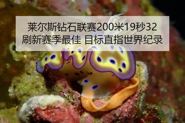 莱尔斯钻石联赛200米19秒32刷新赛季最佳 目标直指世界纪录