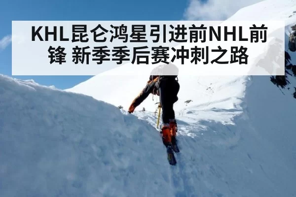 KHL昆仑鸿星引进前NHL前锋 新季季后赛冲刺之路